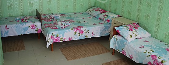 Фотография гостиницы У Петровича