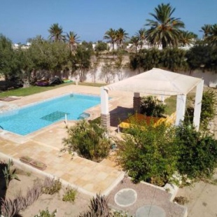 Фотография гостевого дома Palms Blu, Djerba