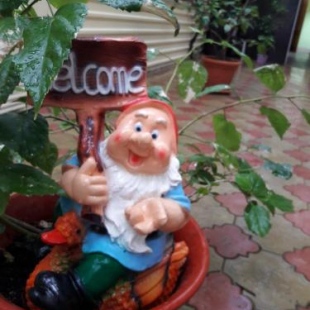 Фотография гостевого дома На Краснодарской, 22