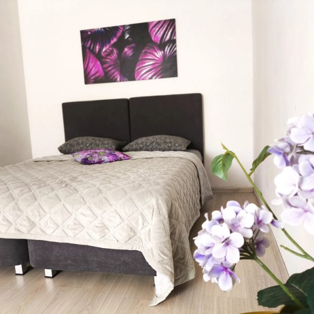 Фотографии квартиры 
            Квартира Экодомик Люберцы 438