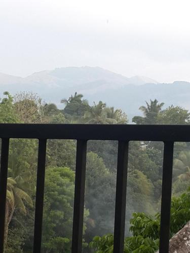 Фотография мини отеля Hanthana view