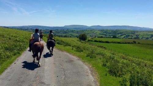 Фотография мини отеля The Roast Ox Inn