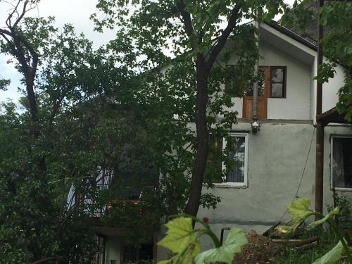 Фотография гостевого дома GVALA