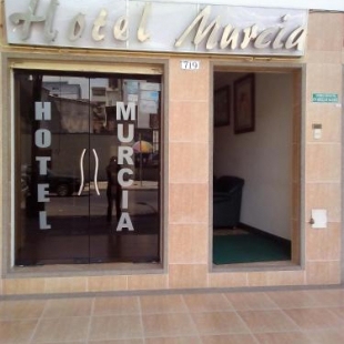 Фотография гостиницы Hotel Murcia