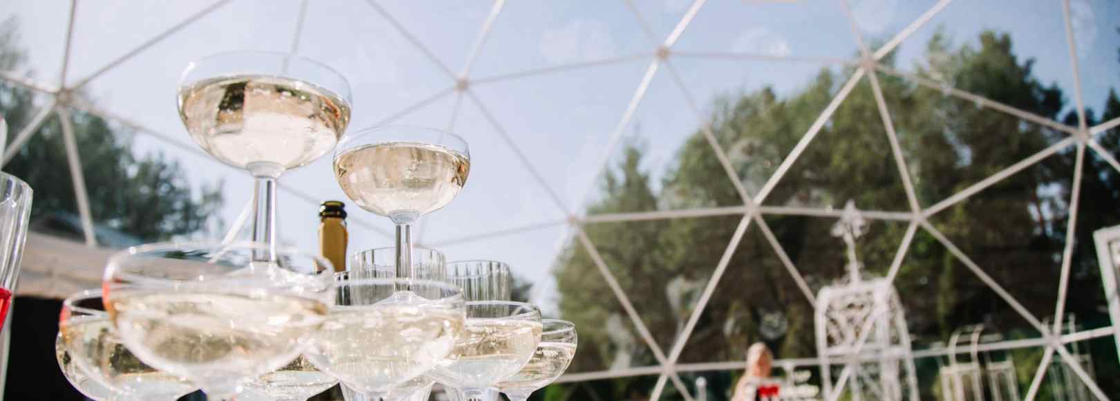 Фотография летней террасы Розовый сад