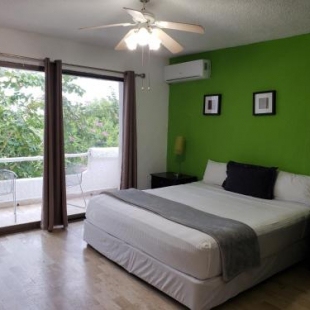 Фотография гостиницы Hotel Green 16