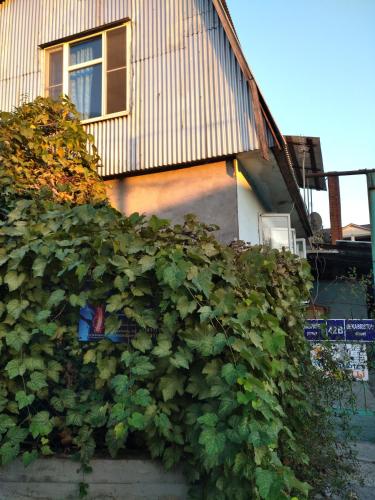 Фотография гостевого дома Морюшко