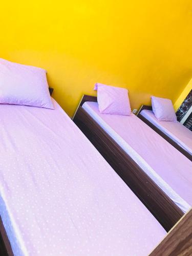 Фотографии хостела 
            Prime Hostel Baku