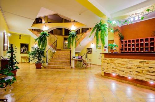 Фотографии гостиницы 
            Hotel Jan