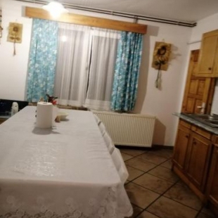 Фотография гостевого дома Pensiunea Veturia