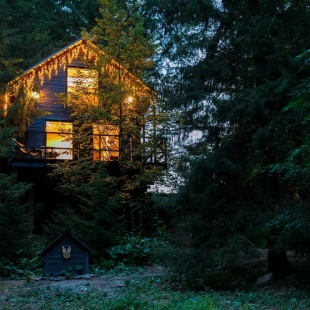 Фотография Коттеджа Частный дом Опушка