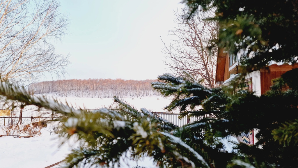 Фотография Коттеджа Частный дом Загородный на озере