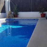 Фотография гостевого дома Casa El Pinsapar