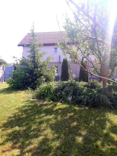 Фотография гостевого дома Дом с сауной и бассейном