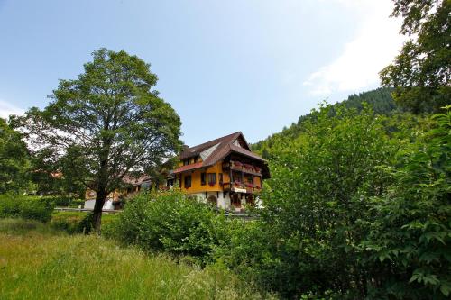 Фотография гостиницы Hotel Gasthaus Hirschen
