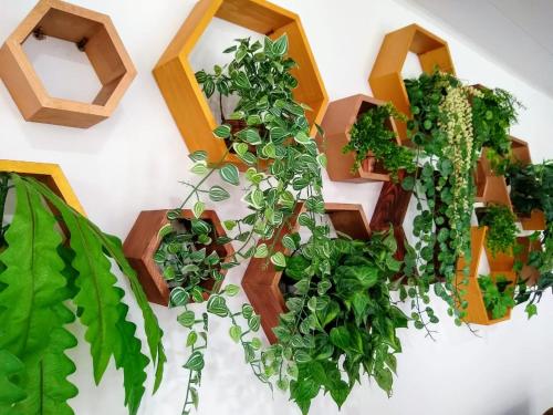 Фотография гостиницы Hotel Ayenda Federman Park 1090