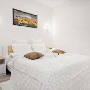 Фотография квартиры Апартаменты Пархоменко 2