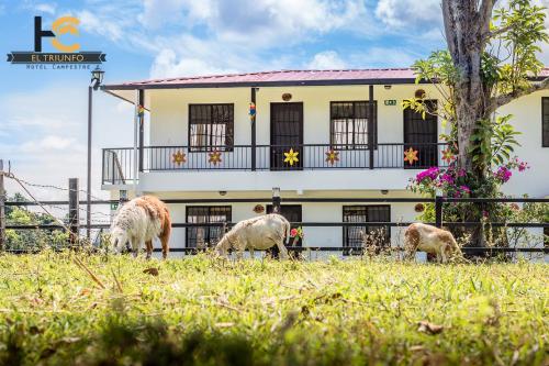 Фотография гостевого дома Hotel Campestre El Triunfo
