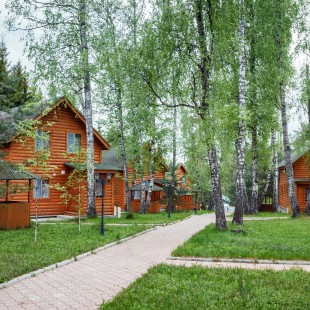 Фотография гостевого дома Березовая роща
