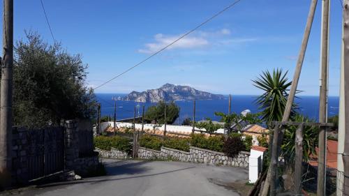 Фотография гостевого дома Emidio House