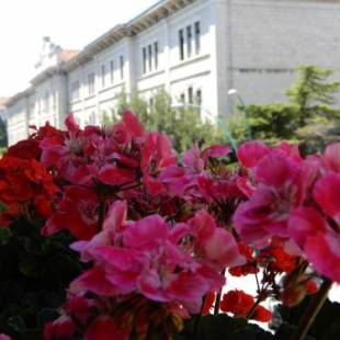 Фотографии мини отеля
Luciano And Son