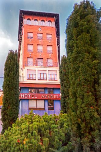 Фотография гостиницы Hotel Avenida