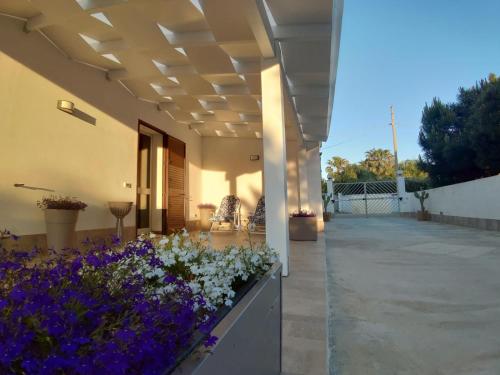 Фотография мини отеля Villa Margherita