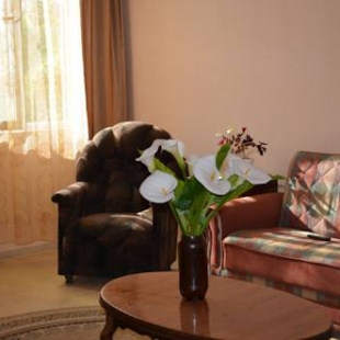 Фотография гостевого дома Sanni Guest House