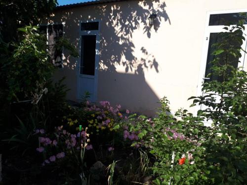 Фотографии гостевого дома
На Черноморской, 138а