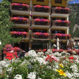 Фотография гостиницы Albergo Alpenrose Ski&Bike Mountain Hotel