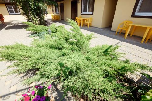 Фотография гостевого дома Виктория