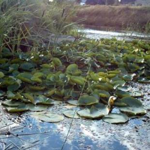 Фотографии гостевого дома
Huis Den Keibilk