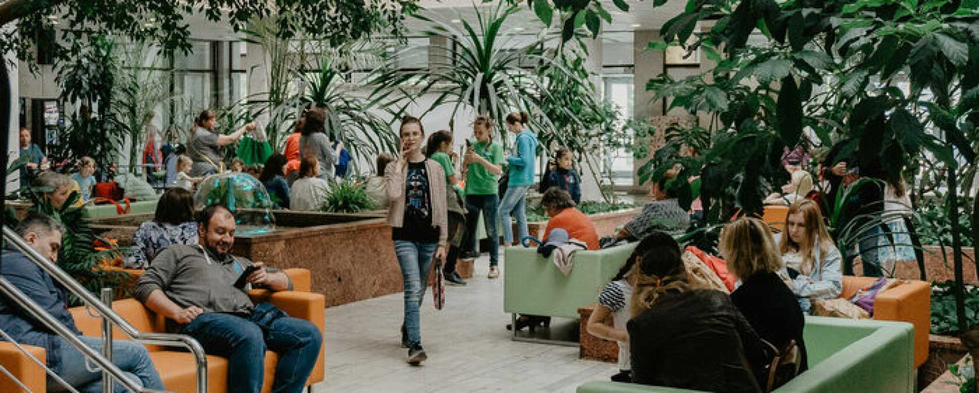 Фотографии фойе ДК Капотня Фойе 1-этажа с зимним садом