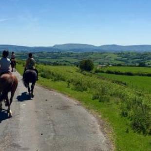 Фотографии мини отеля 
            The Roast Ox Inn