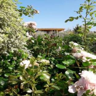 Фотографии мини отеля
Cabanes Trésors de Campagne,spas privatifs