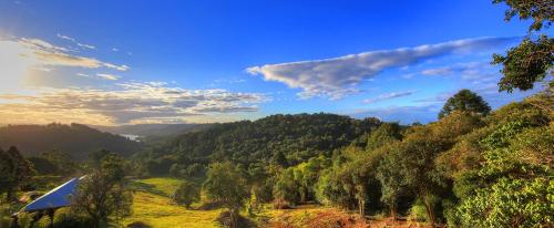 Фотография мини отеля Maleny Tropical Retreat