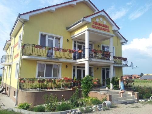 Фотография гостевого дома Pensiunea Margareta