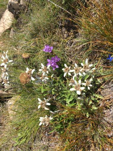 Фотография гостевого дома Christall