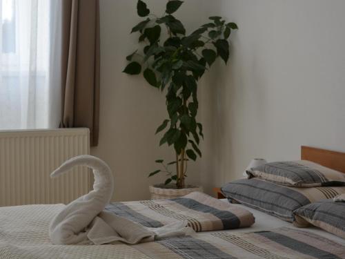 Фотография гостевого дома Tópart Apartman