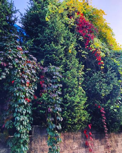 Фотографии хостела
Жить ЗдорОво!