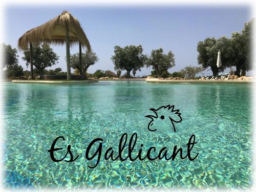 Фотография базы отдыха Agroturismo Es Gallicant