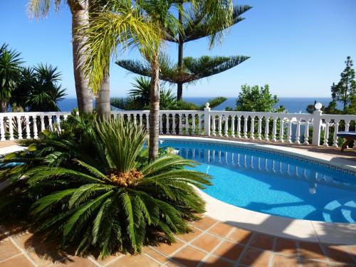 Фотография гостиницы La Perla de Torrenueva