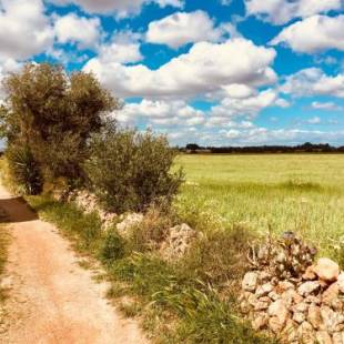 Фотографии гостевого дома
Arthouse Campos