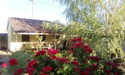 Фотография гостевого дома Гостевой дом