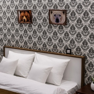 Фотография квартиры Апартаменты Однокомнатные на Дуки, 11 этаж, Мишки