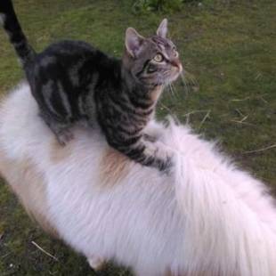 Фотографии мини отеля
Celine'Home