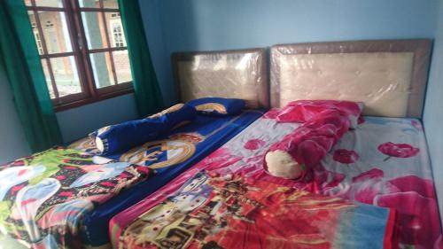 Фотография гостевого дома Penginapan Rindu Alam Soala Gogo