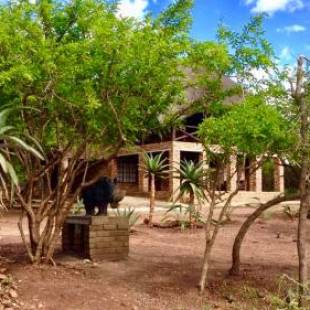 Фотографии гостевого дома
Rhinos Rest