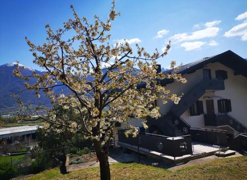 Фотография мини отеля B & B La Mela