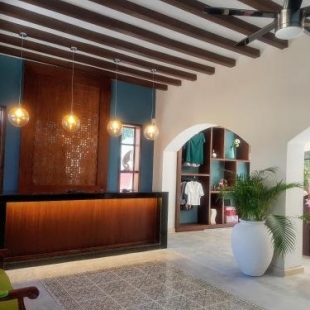 Фотография гостиницы Hotel Holly